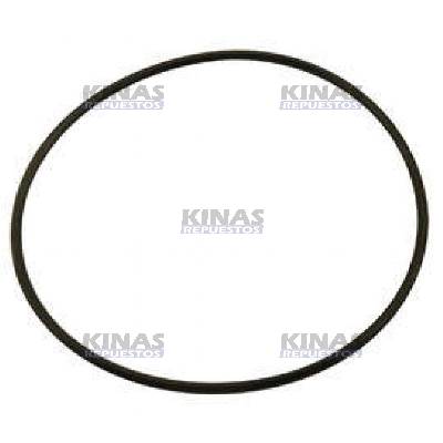 ANILLO FILTRO ROTATIVA SCANIA 110/111/112/113/S4 (MAYOR)