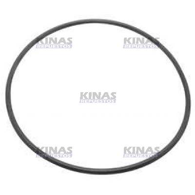 ANILLO FILTRO ROTATIVA SCANIA 110/111/112/113/S4 (MENOR)