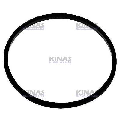ANILLO GOMA UNIDAD INYECTORA/VALVULA COMBUSTIBLE MOTOR HPI R380/420