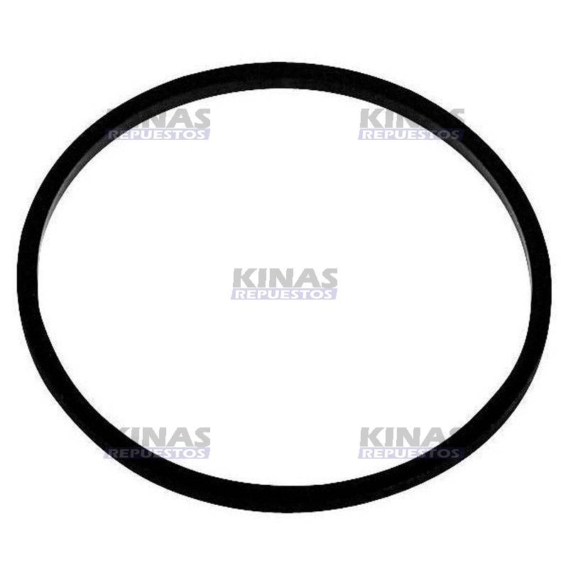 ANILLO GOMA UNIDAD INYECTORA/VALVULA COMBUSTIBLE MOTOR HPI R380/420