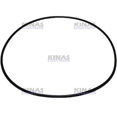 ANILLO GOMA FLANGE SALIDA CAJA CAMBIO MASSEY 55A296/299