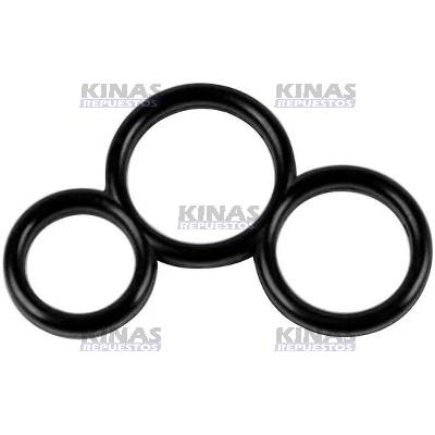 ANILLO GOMA MULTIPLE/REGLA COMBUSTIBLE SCANIA S4/S5 (HPI)