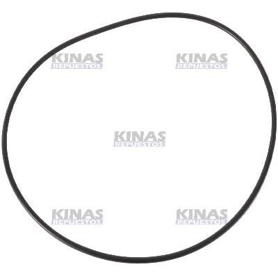 ANILLO/GOMA EJE CENTRAL TRACION DELANTERA VALMET/TALTRA BH160 CARRARO