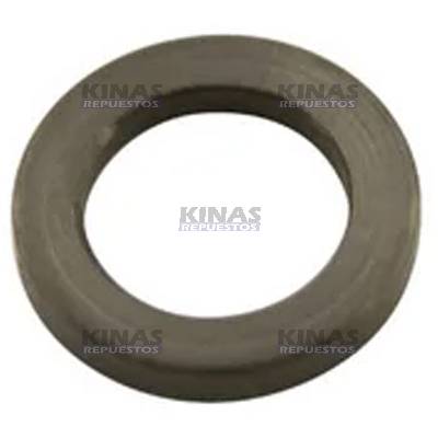 ARANDELA ACOPLE LAMINA BOMBA INYECTORA SCANIA 113 10MM