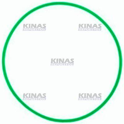ANILLO/GOMA MORINGA CAMBIO SCANIA 112/113 204X4 GR870/GR871 10 MARCHAS VERDE