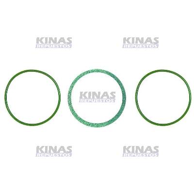 KIT ANILLO GOMA CAMISA SCANIA 113 ECO2