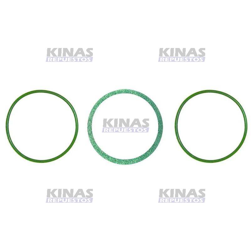 KIT ANILLO GOMA CAMISA SCANIA 113 ECO2