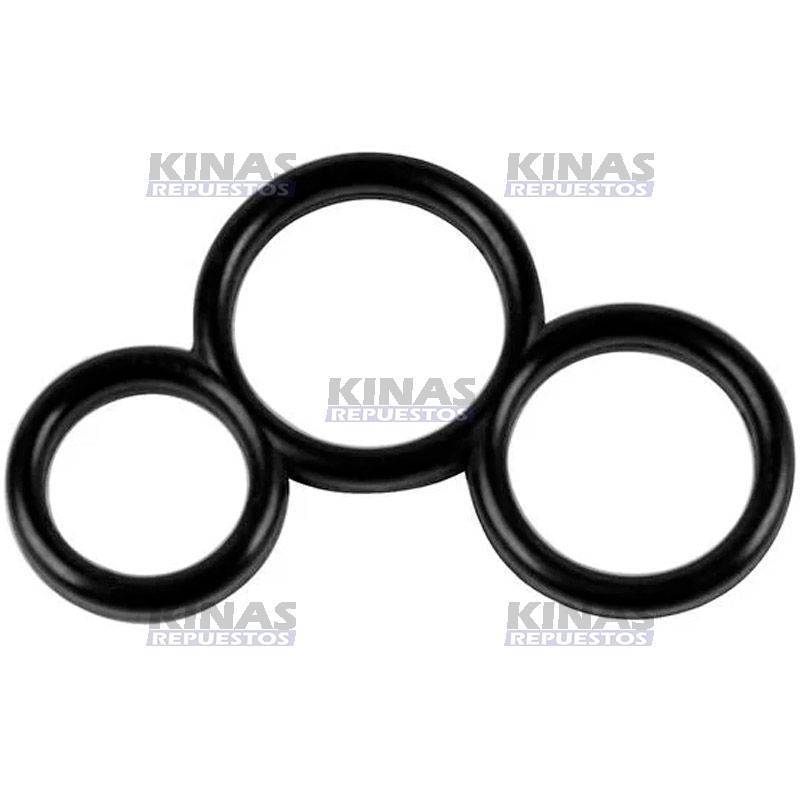 ANILLO GOMA MULTIPLE/REGLA COMBUSTIBLE SCANIA S4/S5 (HPI)